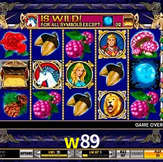 w89 Rio de Janeiro - Bonus Terms